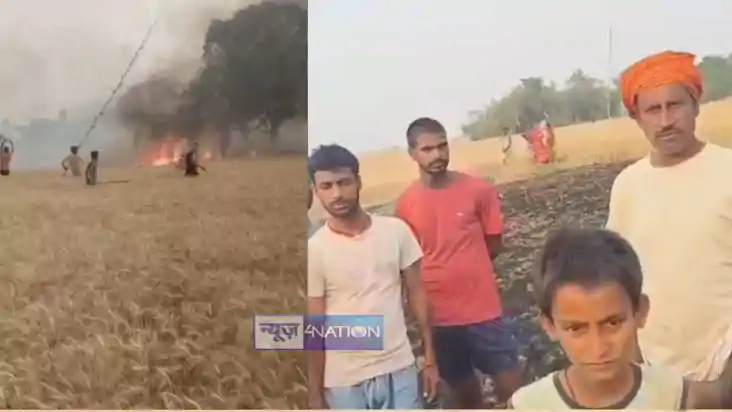 wheat crop burnt