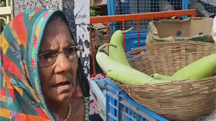 5 कद्दू जप्त कर क्या अतिक्रमण मुक्त होगा शहर? नगर निगम कार्य