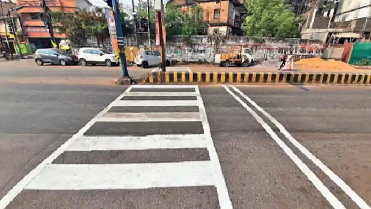 Bihar News : बिहार में गाँव की सड़कों पर भी अब दिखेगा जेब्रा 