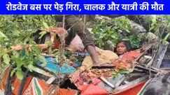 Barabanki Accident: बाराबंकी में रोडवेज बस पर गिरा पेड़ ड्राइवर और एक यात्री मौत, कई लोग घायल