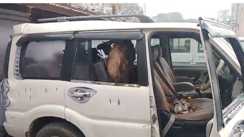 ame in Scorpio ran away on foot Mud spoils mutton party plans thieves abandon goat and flee