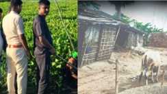 Bihar Crime:पूर्णिया में पांच लोगों की सामूहिक हत्या से सनसनी, एसआईटी गठित, 3 आरोपी गिरफ्तार, 150 अज्ञात पर FIR