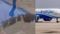Flight Delay: जब मधुमक्खियों ने रोकी उड़ान!  फ्लाइट पर मधुमक्खियों का ‘कब्जा’,रवाना होने में लगी एक घंटा देर