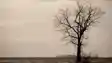 Bihar Drought Crisis Rainfall Deficit 