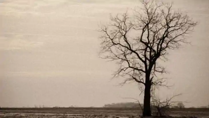 Bihar Drought Crisis Rainfall Deficit 