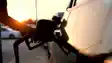 E25 Petrol