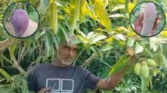 Agriculture Success Story Bihar