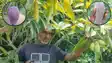 Agriculture Success Story Bihar