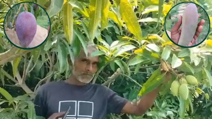 Agriculture Success Story Bihar