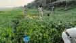 Bihar Crime : मुजफ्फरपुर में शराब कारोबारियों पर पुलिस ने कसा शिकंजा, सैकड़ों लीटर अर्धनिर्मित शराब को किया विनष्ट, मौके से फरार हुए तस्कर   