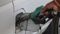 Petrol-Diesel Rate