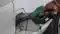 Petrol-Diesel Rate
