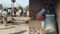 Elephant rampage in Nawada 