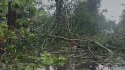 Rain and storm wreak havoc Patna