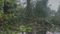 Rain and storm wreak havoc Patna