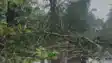 Rain and storm wreak havoc Patna