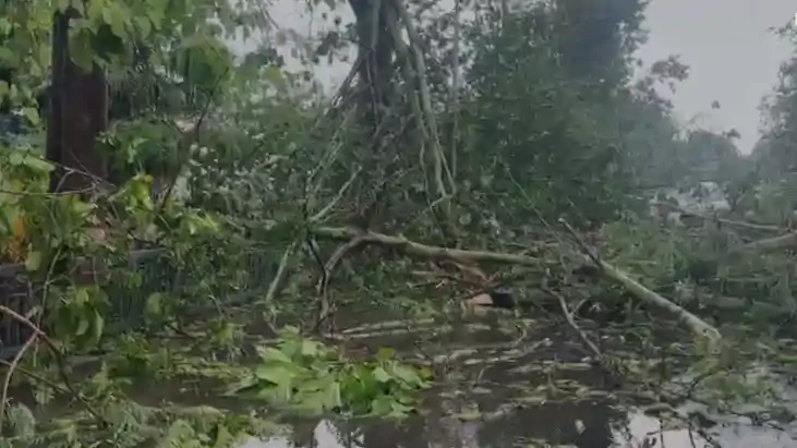 Rain and storm wreak havoc Patna