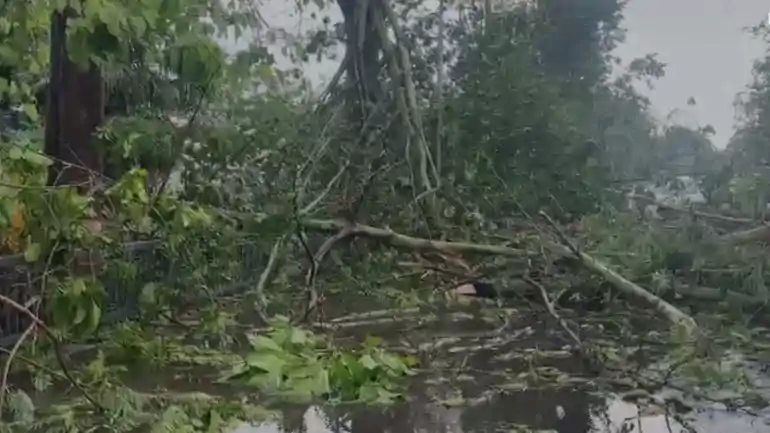 Rain and storm wreak havoc Patna