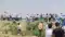 Bihar road accident