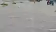 Bihar Flood