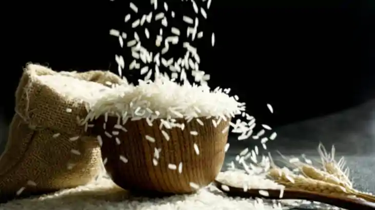Rice Price
