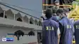 Bihar NIA Raid:  NIA की रेड से बिहार में हड़कंप, कटिहार टू श्रीनगर कनेक्शन, हिरासत में इकबाल, डर और तनाव का माहौल