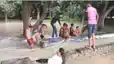 Bihar Flood Kids Turn Floodwater Into a Risky Swimming Pool