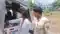 Ara Newborn Girl Found in Bushes Admitted to Sadar Hospital