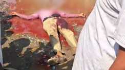 Double murder in Forbesganj