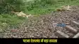Ara railway track accident