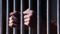 Patna Crime News : पटना में बिल्डर से रंगदारी मांगने का मामला, पुलिस और एसटीएफ ने एक को किया गिरफ्तार, आरोपी पर दर्ज हैं कई मामले