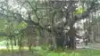 Bhaiya Bahini Temple