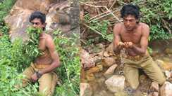  Leaf Man Hasn't eaten grains in 10 years keeps himself healthy by eating only leaves