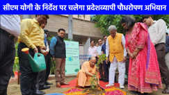 Ek Ped Maa Ke Naam Campaign: मनरेगा के जरिए रोपे जाएंगे 12.5 करोड़ पौधे, हरियाली के साथ रोजगार को भी मिलेगा बढ़ावा