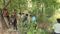Bihar News : मणिपुर से कमाकर लौट रहे मजदूर का संदिग्ध शव बरामद, परिजनों ने जताई हत्या की आशंका, जांच में जुटी पुलिस