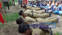 Bihar Civil Defence