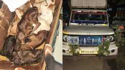 Muzaffarpur animal smuggling