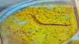 Action in Mid Day Meal Snake Case FIR Against Headmistress Teachers