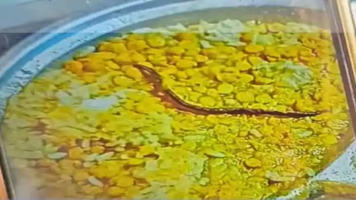 Action in Mid Day Meal Snake Case FIR Against Headmistress T