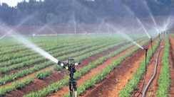 drip and sprinkler irrigation in Bihar 