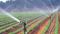 drip and sprinkler irrigation in Bihar 