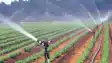 drip and sprinkler irrigation in Bihar 