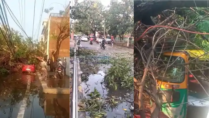 Bihar Storm Havoc 9 Dead T