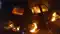 Car Catches Fire Near Gaya Railway Crossing Driver Missing