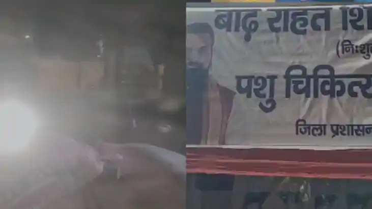 Hajipur Flood Camp Row Cattle Feed Removed After CM Visit