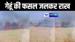 नवादा में किसानों की मेहनत में फिरा पानी, 25 बीघा में लगी गेहूं की फसल जलकर हुई नष्ट, इलाके में छाई मायूसी 