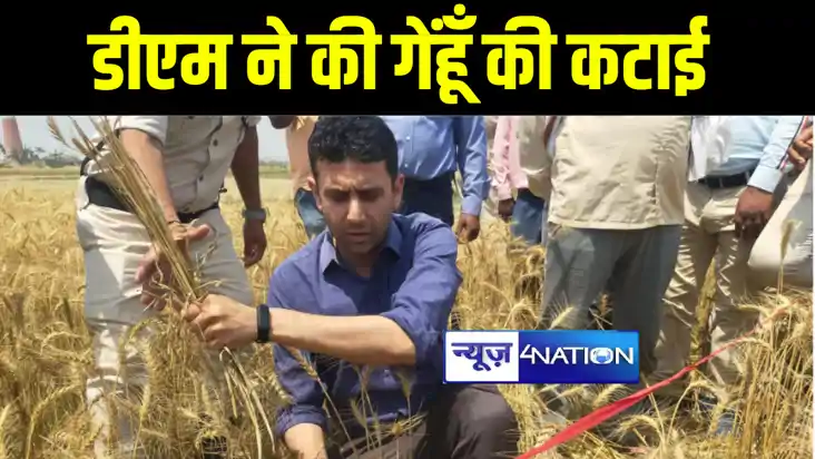 सीतामढ़ी में जिलाधिकारी ने किया गेहूं कटनी का शुभारंभ, खुद खे