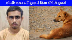 UP NEWS: लखनऊ में युवक ने खाने का लालच देकर डॉगी से किया दुष्कर्म, वायरल वीडियो देख भड़क उठे लौग!