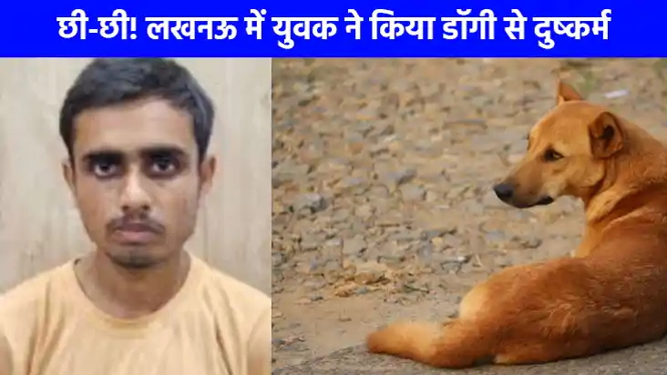 UP NEWS: लखनऊ में युवक ने खाने का लालच देकर डॉगी से किया दुष UP NEWS: लखनऊ में युवक ने खाने का लालच देकर डॉगी से किया दुष