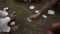 Bhagalpur Police Raid Gambling Den  Arrest 19 With  5 10 Lakh Cash